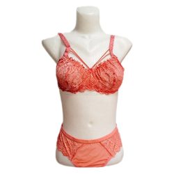 ست شورت و سوتین هارنسی