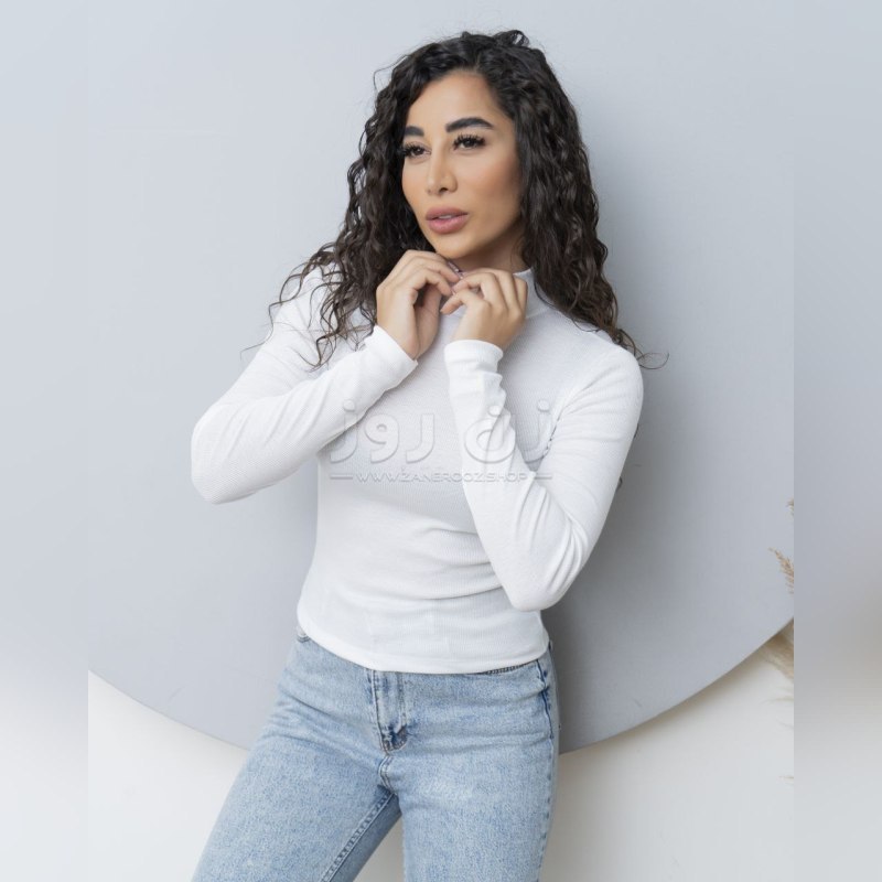 قیمت بلوززنانه آستین بلند یقه اسکی فانریپ