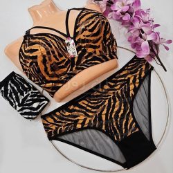 ست شورت و سوتین ببری هارنسی فنردار